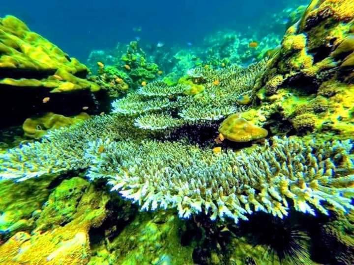 Daya Hill Seaview Hotell Koh Lipe Eksteriør bilde